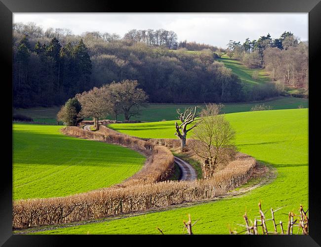 Winding Country Lane Framed Print by Tony Murtagh