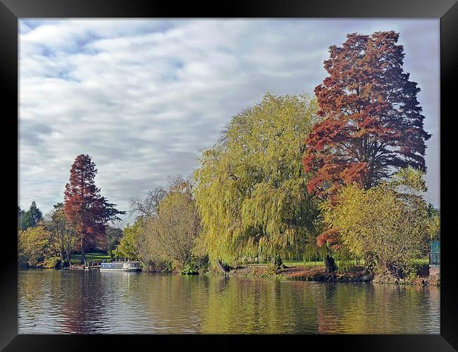 River Avon Framed Print by Tony Murtagh