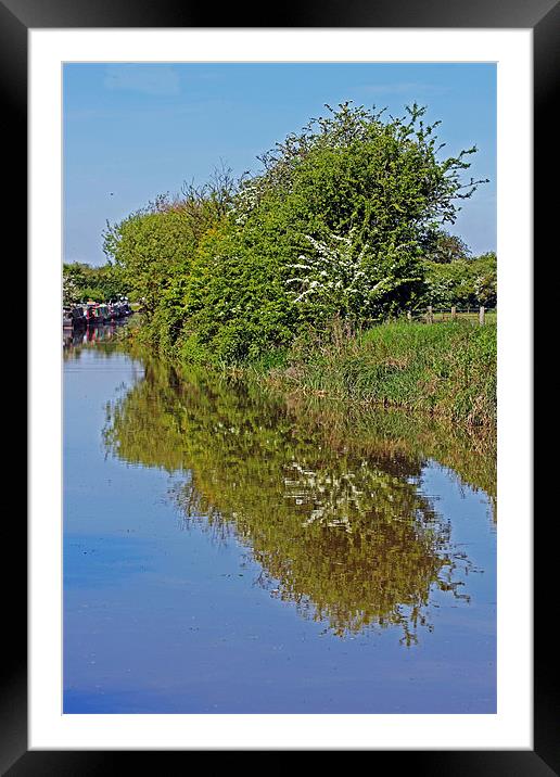 Reflections of Trees Framed Mounted Print by Tony Murtagh