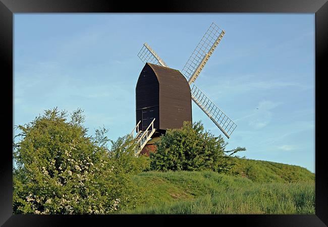 Windmill on Brill Common Framed Print by Tony Murtagh