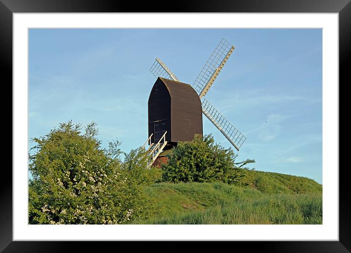 Windmill on Brill Common Framed Mounted Print by Tony Murtagh