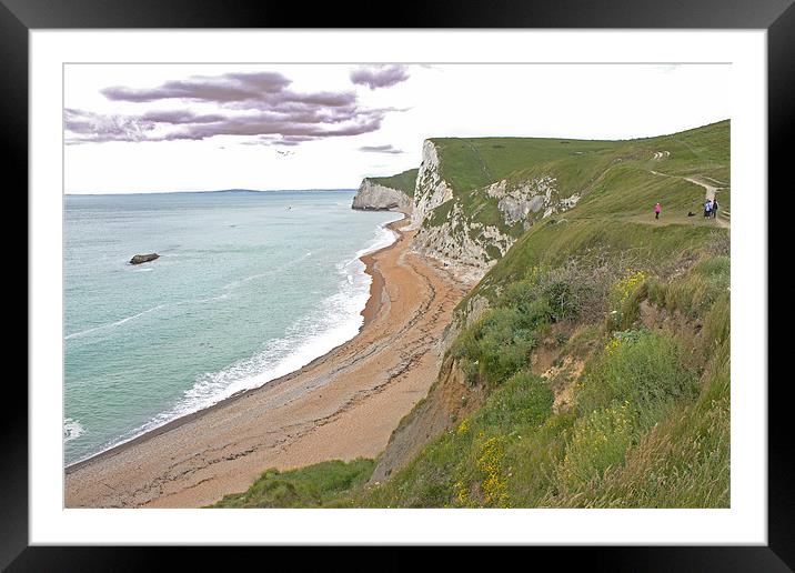 The Jurassic Coast Framed Mounted Print by Tony Murtagh