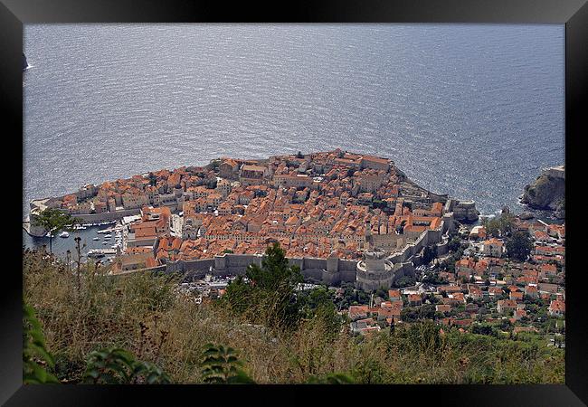 Old City of Dubrovnik Framed Print by Tony Murtagh