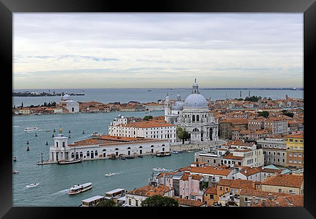 Entrance to Grand Canal Framed Print by Tony Murtagh