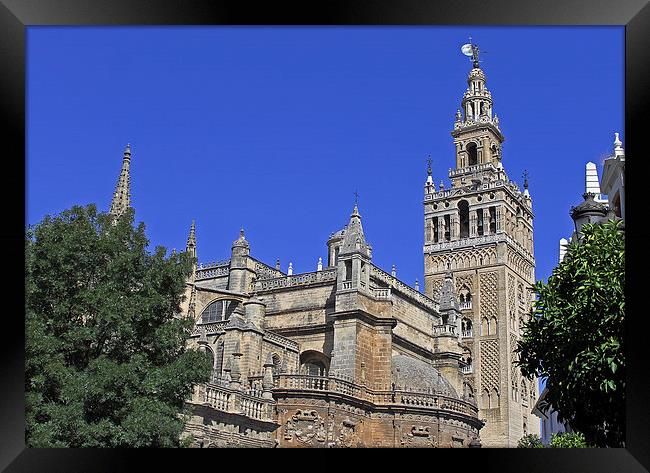 Seville Cathedral Framed Print by Tony Murtagh