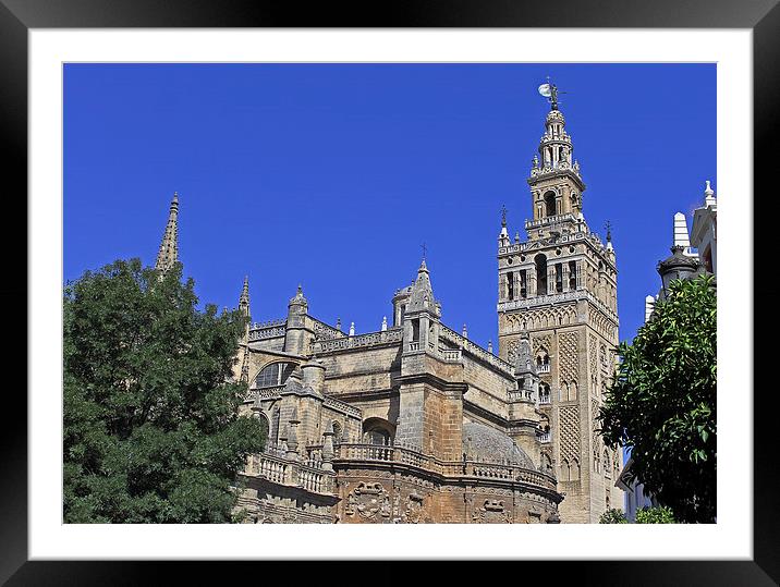 Seville Cathedral Framed Mounted Print by Tony Murtagh