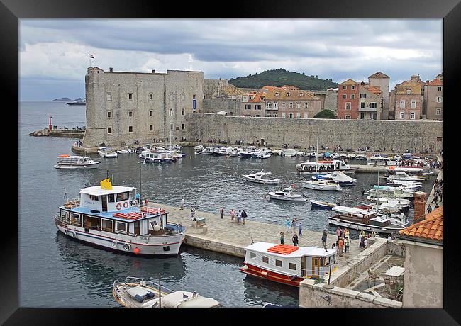 Dubrovnik Old Harbour Framed Print by Tony Murtagh
