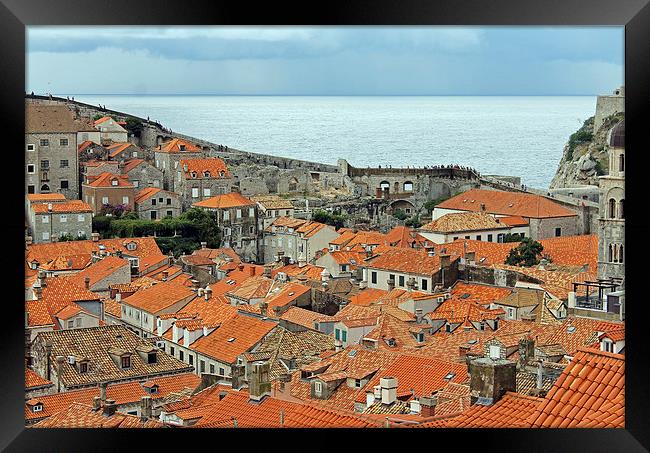 Dubrovnik Rooftops and Walls Framed Print by Tony Murtagh