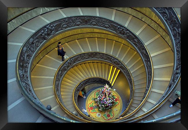 Spiral Staircase in Vatican Museum Framed Print by Tony Murtagh