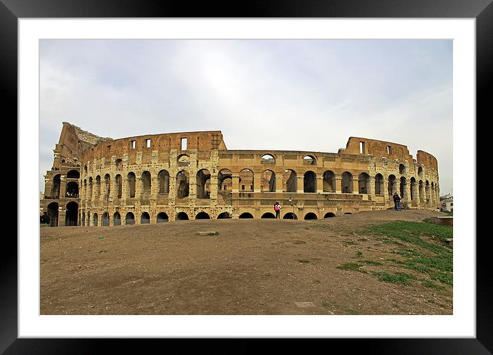 Roman Colosseum Framed Mounted Print by Tony Murtagh