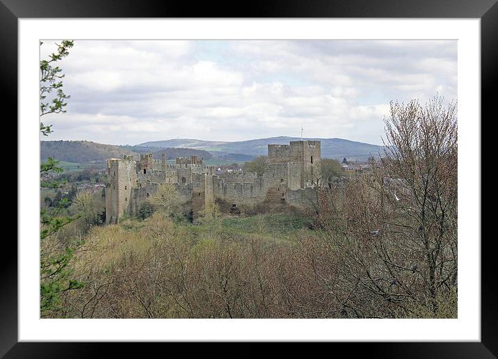 Ludlow Castle Framed Mounted Print by Tony Murtagh