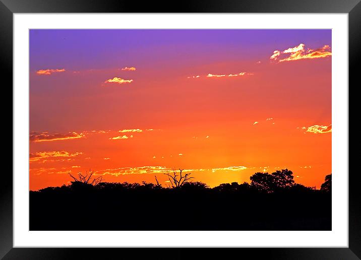  Hwange Sunset Framed Mounted Print by Tony Murtagh