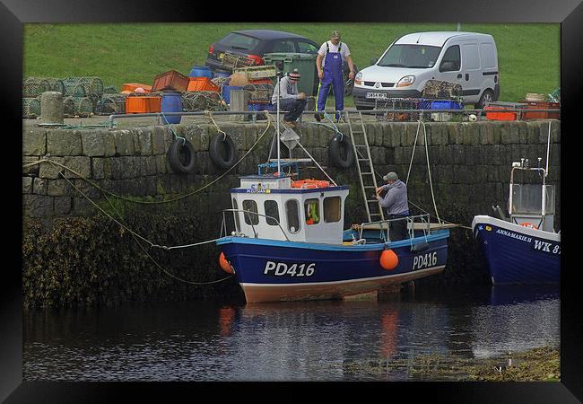 Brora Harbour   Framed Print by Tony Murtagh