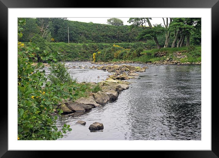  River Brora  Framed Mounted Print by Tony Murtagh