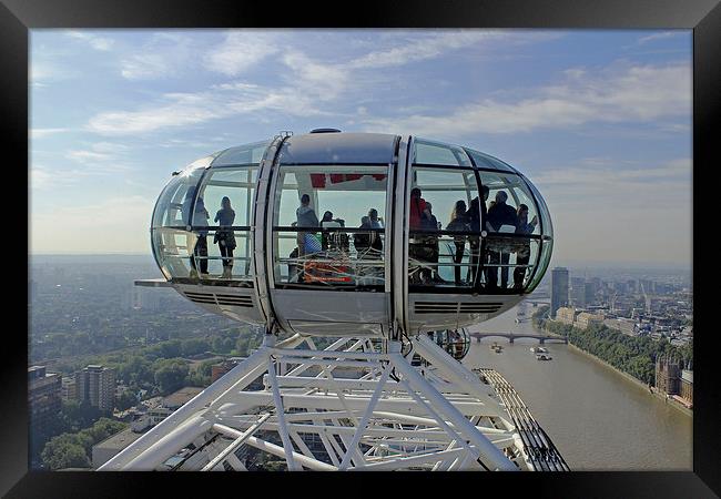  London Eye Pod Framed Print by Tony Murtagh