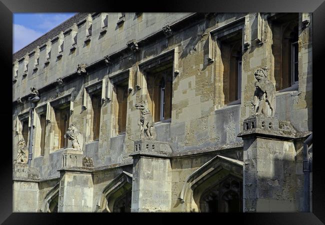 Magdalen Gargoyles Framed Print by Tony Murtagh