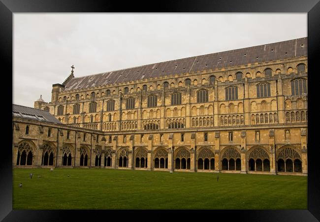 Norwich Cathedral Quadrangle Framed Print by Tony Murtagh