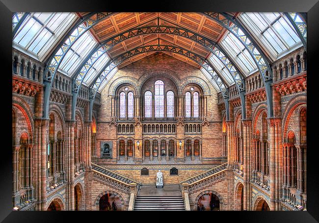 Natural History Museum Framed Print by Gillian Oprey
