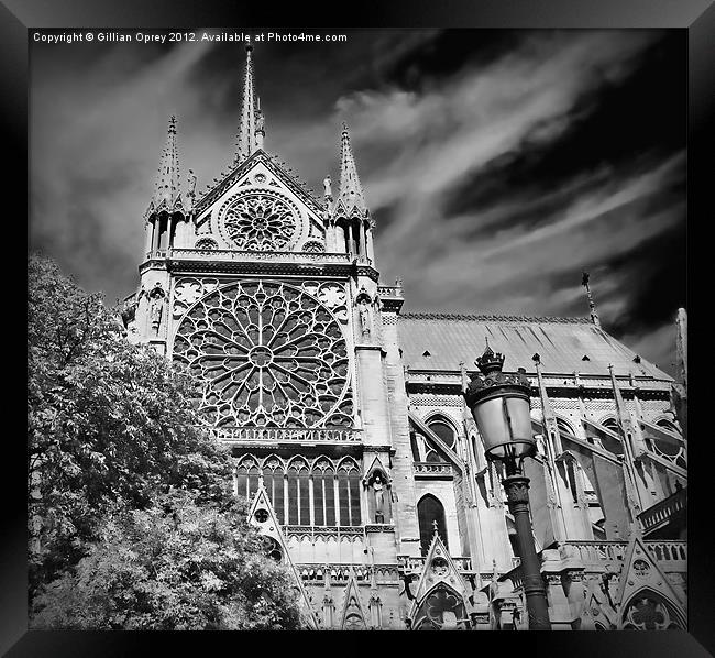 Notre Dame de Paris Framed Print by Gillian Oprey