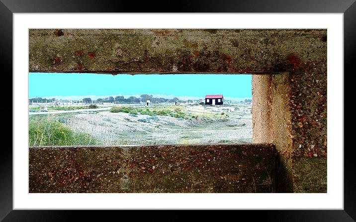 Little red roofed shack Framed Mounted Print by Alison Jackson