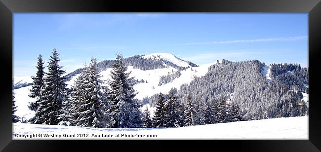 Snow Top Framed Print by Westley Grant