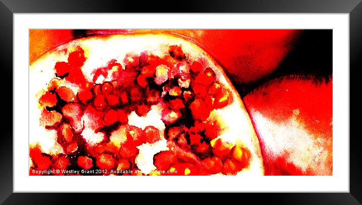 Pomegranate Framed Mounted Print by Westley Grant