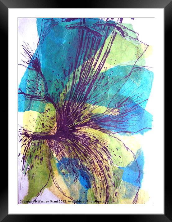 Exotic Flower Framed Mounted Print by Westley Grant