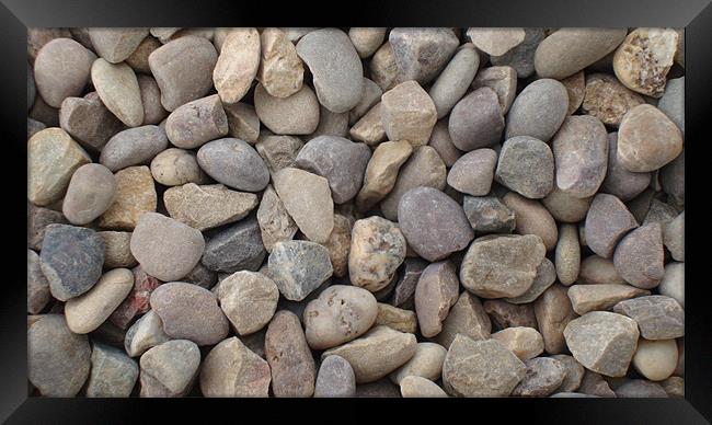 Pebbles Framed Print by Westley Grant