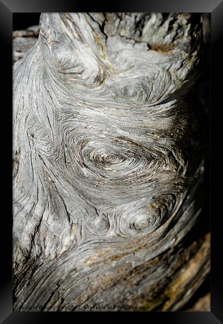 WOODEN FINGERPRINT eddies in the grain of an old log like whorls on a finger Framed Print by Andy Smy