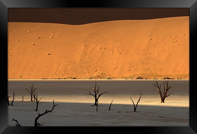 Namib desert Framed Print by Michal Cerny