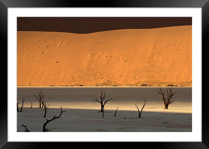 Namib desert Framed Mounted Print by Michal Cerny
