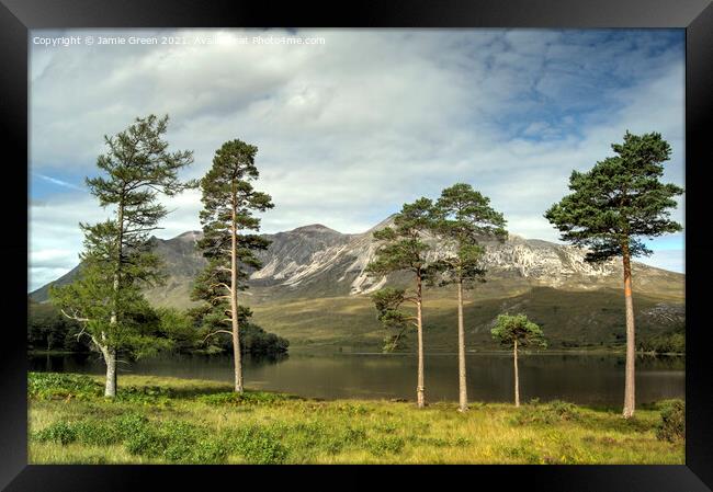 The Pines of Loch Clair Framed Print by Jamie Green