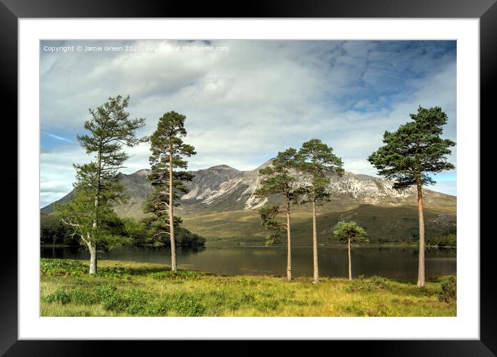 The Pines of Loch Clair Framed Mounted Print by Jamie Green