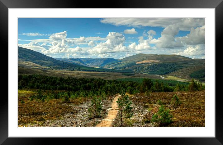 Glen Feshie In The Cairngorms Framed Mounted Print by Jamie Green