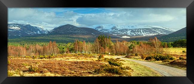 Spring In The Cairngorms Framed Print by Jamie Green