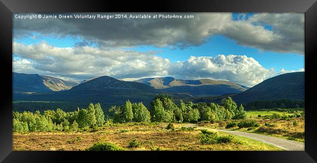 Summer In The Cairngorms Framed Print by Jamie Green
