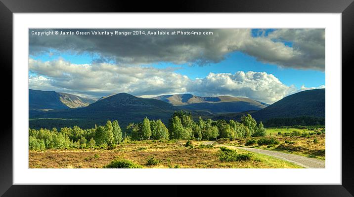 Summer In The Cairngorms Framed Mounted Print by Jamie Green