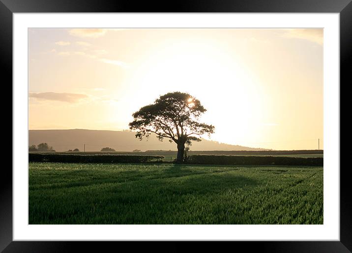 Sunset At Home Framed Mounted Print by Danny Thomas