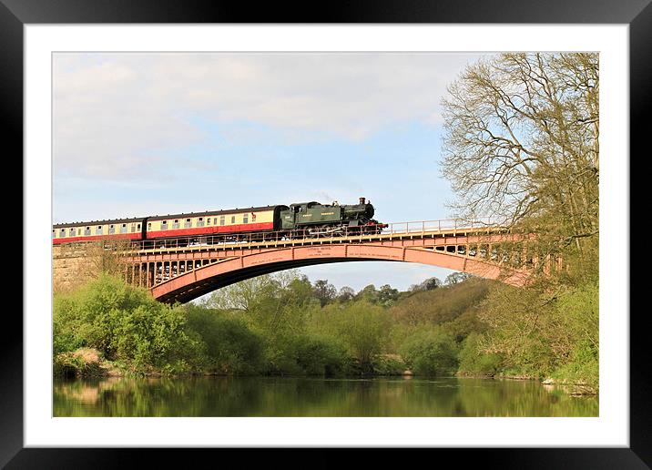 The Severn Valley Railway Framed Mounted Print by Danny Thomas