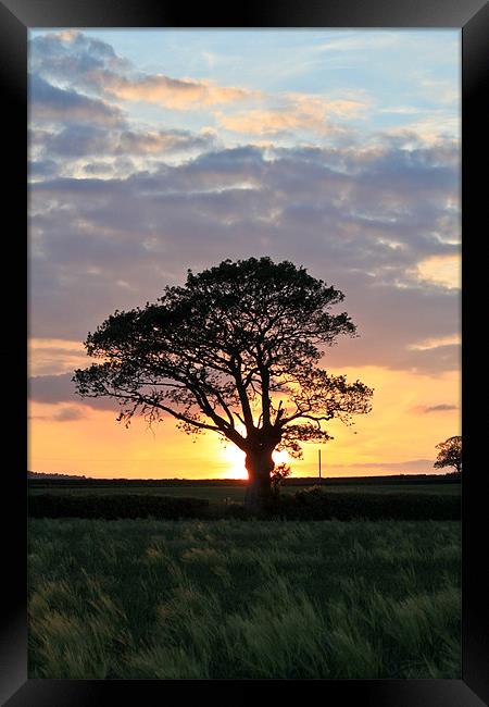 Shropshire Sunset Framed Print by Danny Thomas