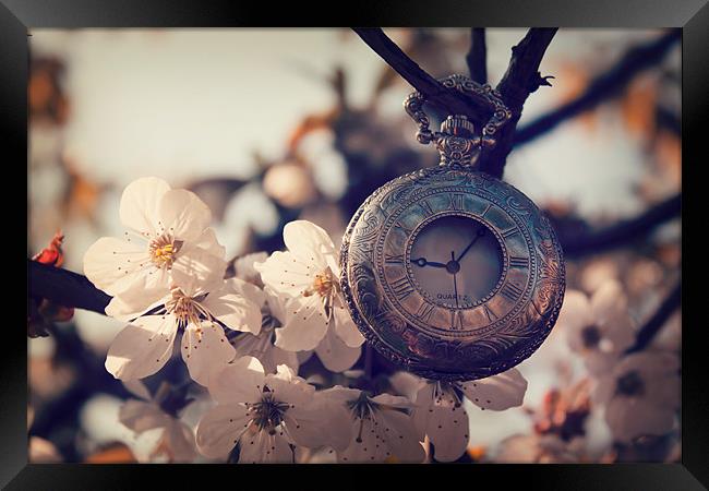 Spring Time Framed Print by Castleton Photographic