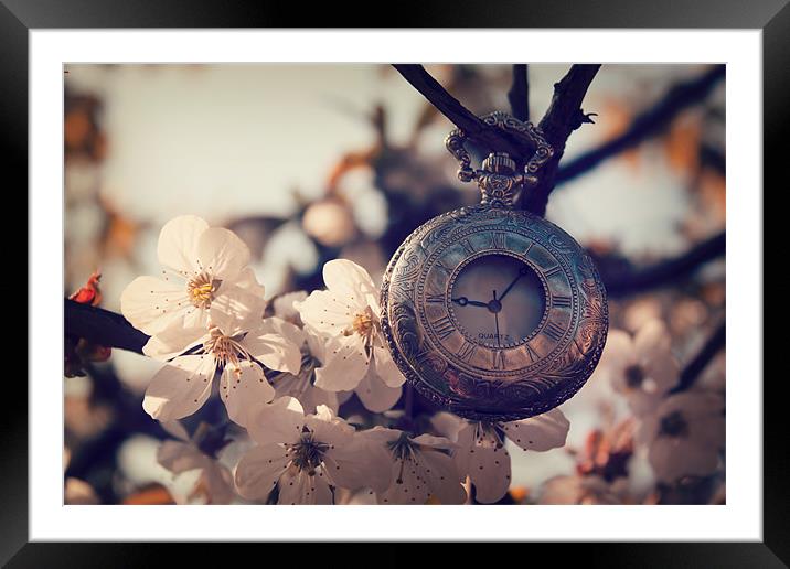 Spring Time Framed Mounted Print by Castleton Photographic