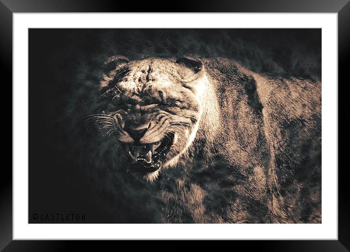  Roar Framed Mounted Print by Castleton Photographic