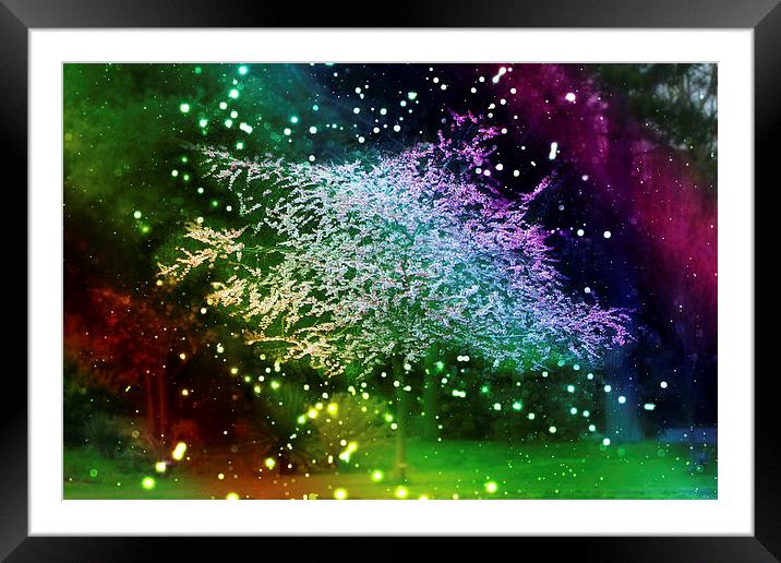  Colourful Springtime Framed Mounted Print by Castleton Photographic