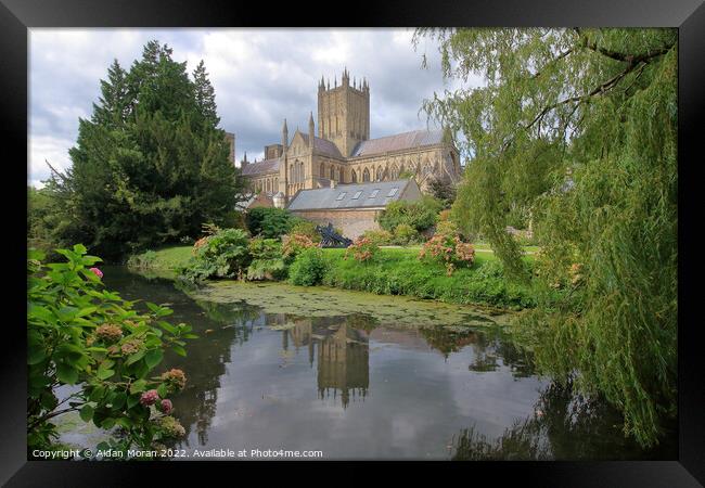 Wells Cathedral from the Bishops Palace   Framed Print by Aidan Moran