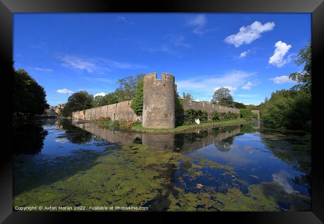 Thae Bishops Palace and Mote  Framed Print by Aidan Moran