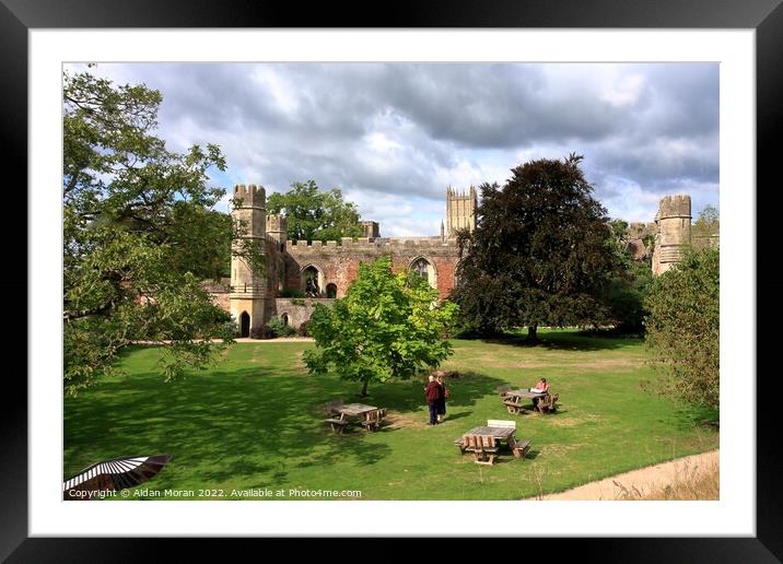 The Bishops Palace, Wells, England  Framed Mounted Print by Aidan Moran