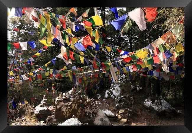 Buddhist Prayer Flags Framed Print by Aidan Moran