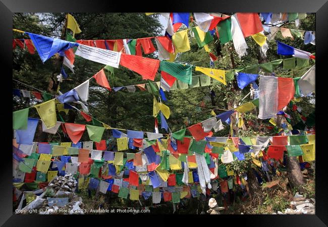 Vibrant Prayer Flags Fluttering in the Wind Framed Print by Aidan Moran