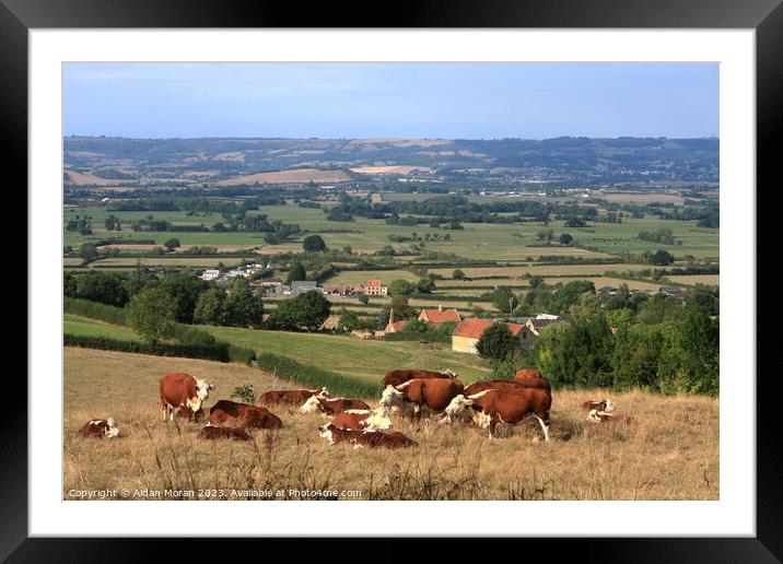 Serene Countryside Scene Framed Mounted Print by Aidan Moran